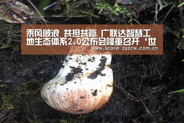 乘风破浪 共担共赢 广联达智慧工地生态体系2.0公布会隆重召开‘世界杯’(图2) 世界杯